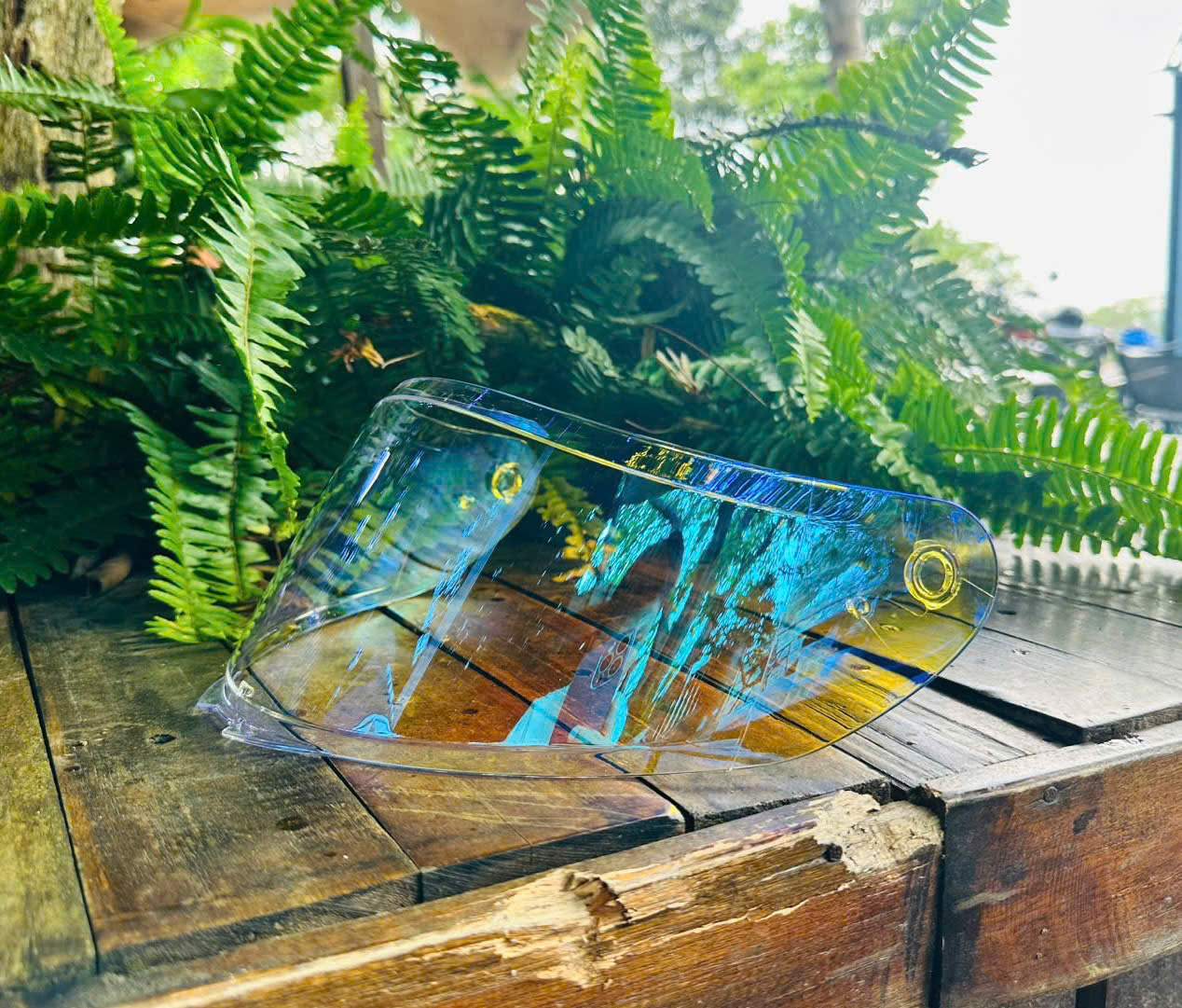 z7194297424982_04e2f89c8481411b4a478a8bc4aa7b35