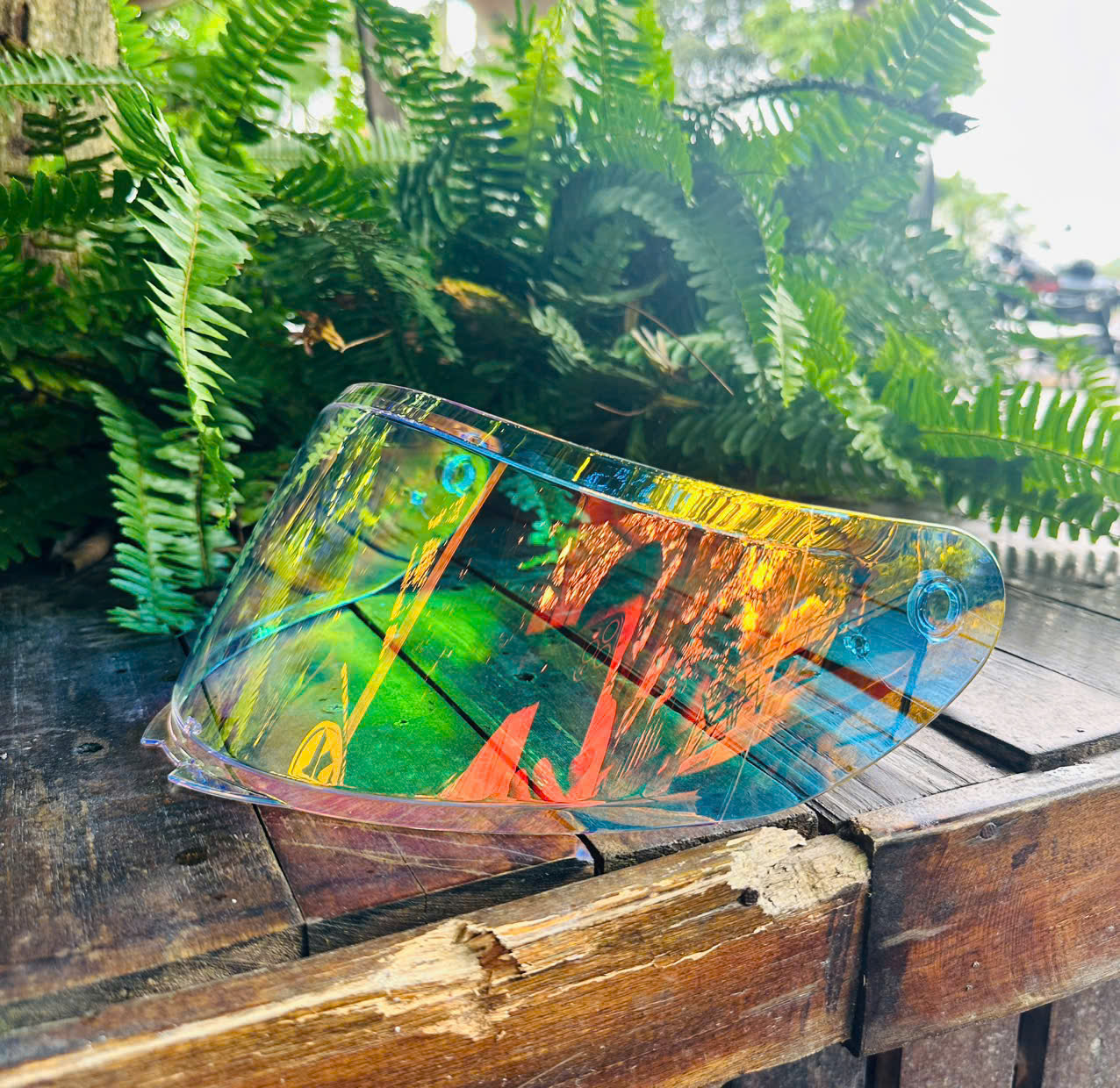 z7194297448927_3ac7f73451a5f0c828282b2c861a0bcd